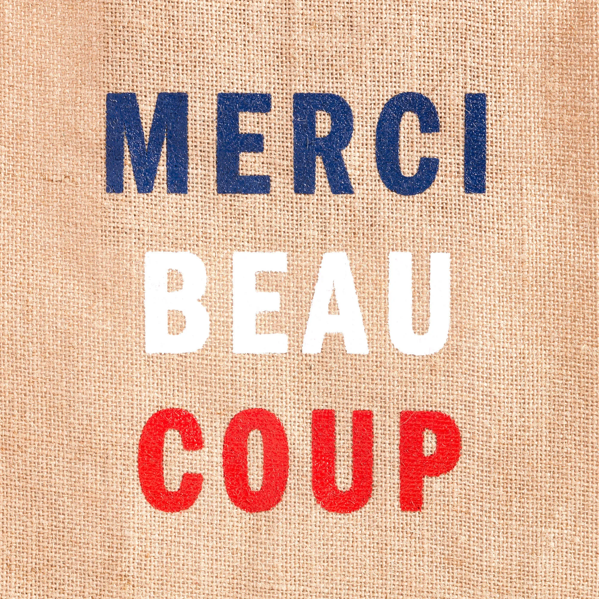 Market Bag in Natural for Clare V. “Merci Beau Coup”